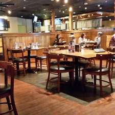 Outback Steakhouse - Restaurant 