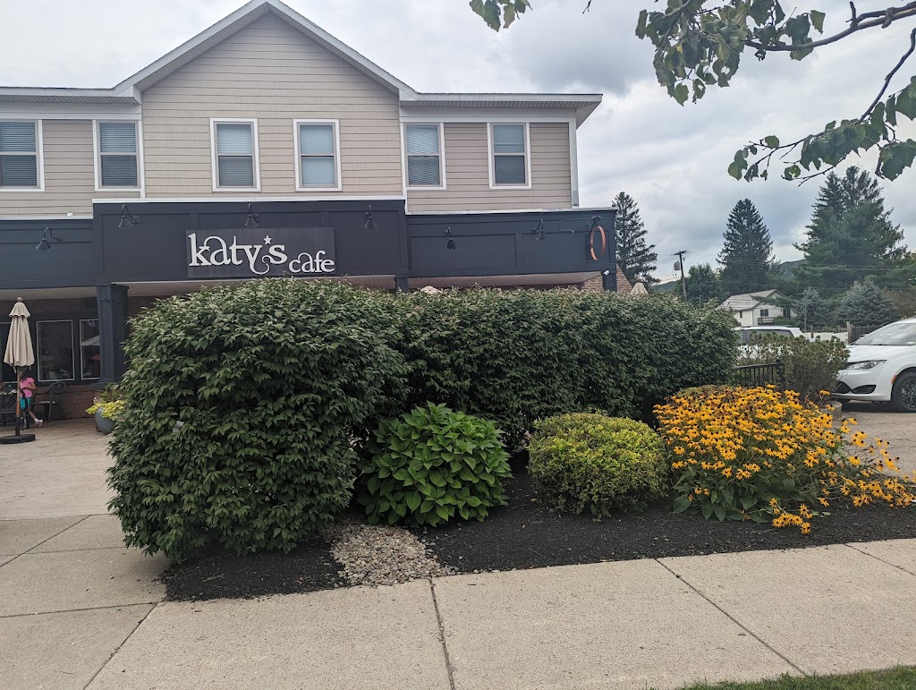 Katys Cafe | cafe | 38-48 Pittsburgh - Buffalo Hwy, Ellicottville, NY 14731, USA | 7166998860 OR +1 716-699-8860