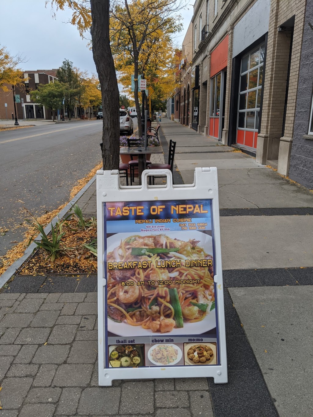 Taste of Nepal | meal takeaway | 431 3rd St, Niagara Falls, NY 14301, USA | 7162990002 OR +1 716-299-0002