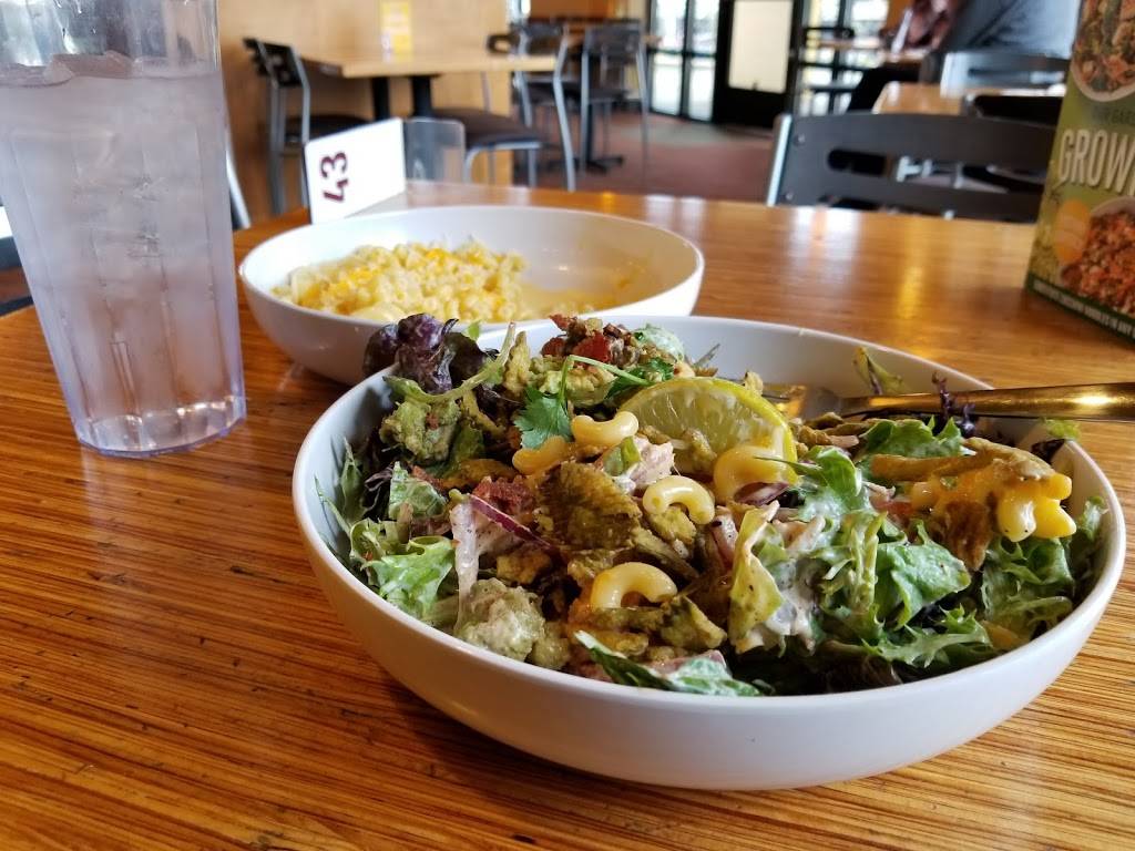Noodles and Company Restaurant 4655 SW Griffith Dr, Beaverton, OR