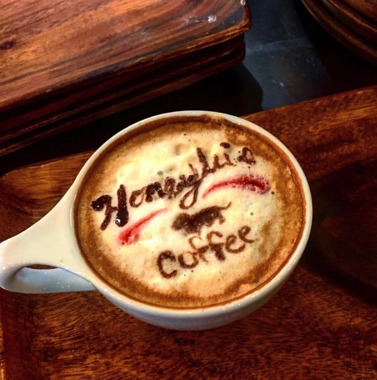 Honeylus Coffee | cafe | 990 W Van Alstyne Pkwy, Van Alstyne, TX 75495, USA | 90348250084 OR +1 903-482-5008 ext. 4