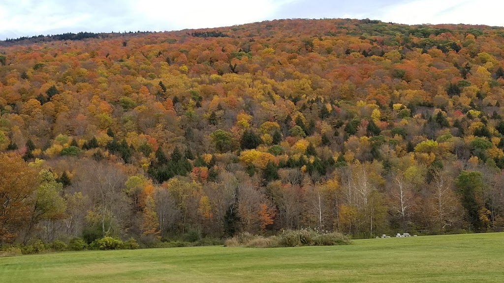 Otter Creek Fun Center | 1800 US-7, Danby, VT 05739, USA