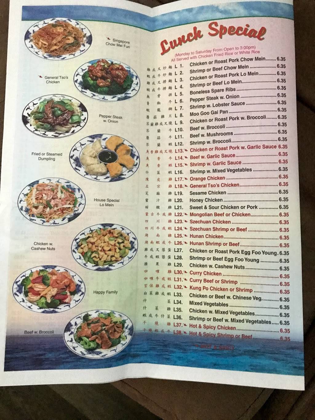 Tokyo Express | restaurant | 1724 State Rd, Summerville, SC 29486, USA | 8438996685 OR +1 843-899-6685