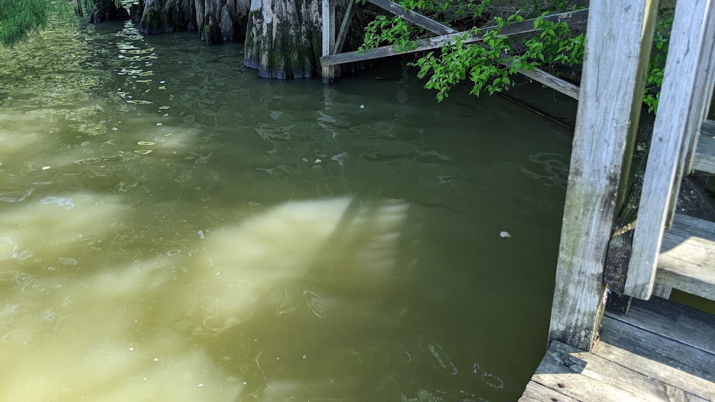 The Dock 1829 Lake St, Lake Providence, LA 71254, USA
