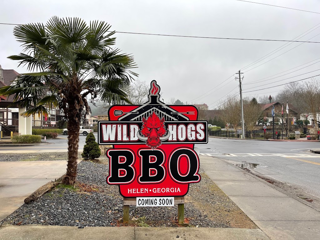 Wild Hogs BBQ | restaurant | 663 Edelweiss Strasse, Helen, GA 30545, USA | 7069174647 OR +1 706-917-4647