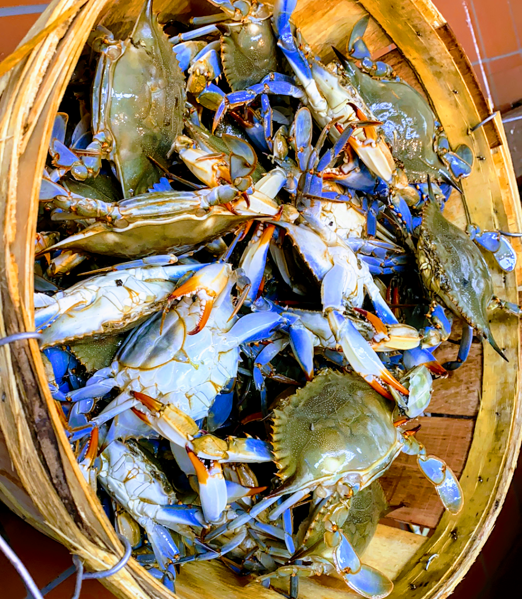 BlueFin Fish Market | restaurant | 29 Malcolm X Blvd, New York, NY 10026, USA | 6465968999 OR +1 646-596-8999