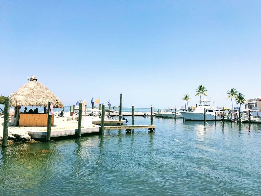 Whale Harbor Marina Restaurant 83413 Overseas Hwy Islamorada Fl