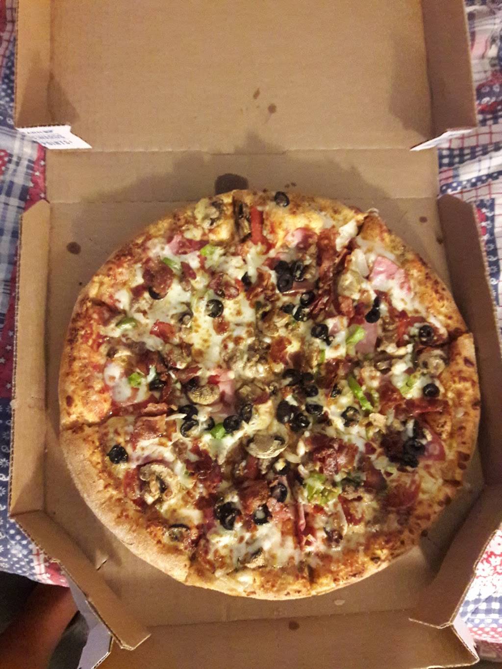 Domino #39 s Pizza Meal delivery 3904 Skyline Blvd Cape Coral FL