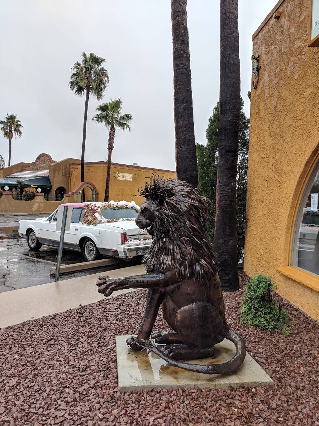 Dedicated A Gluten Free Bakery Coffee Shop 4500 E Speedway Blvd 41 Tucson Az 85712 Usa