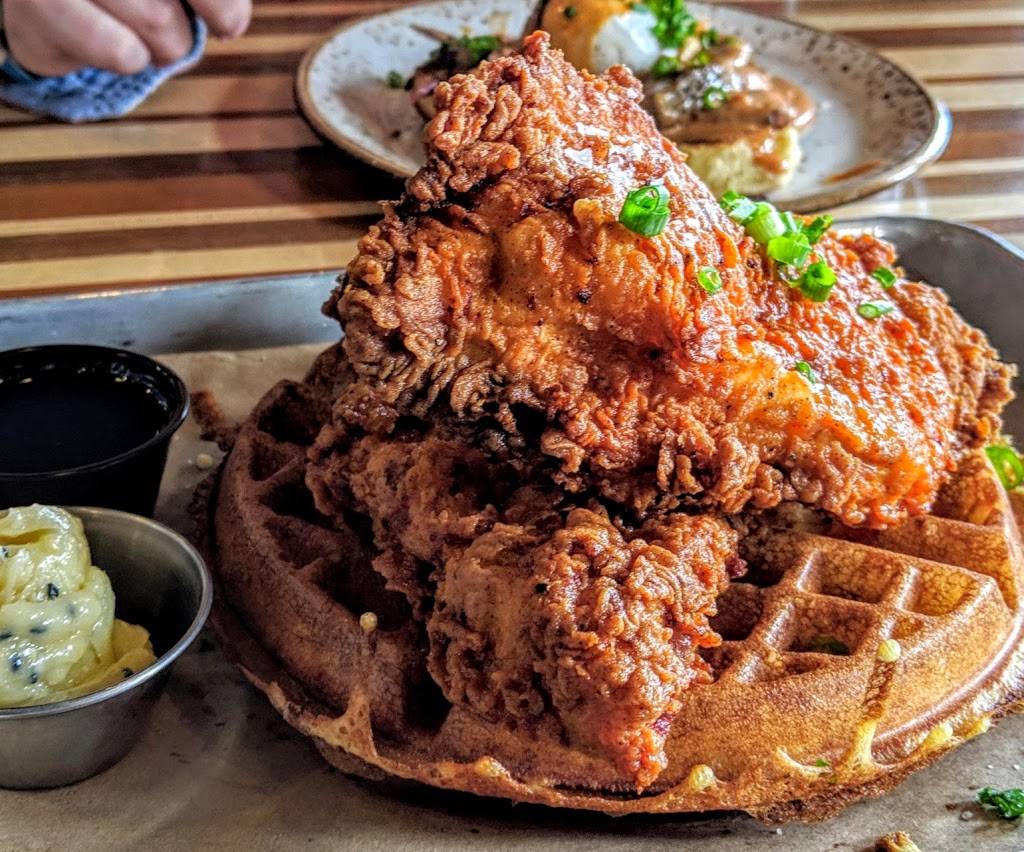 The Cook and the Bear | restaurant | 50 Memorial Rd, West Hartford, CT 06107, USA | 8605953345 OR +1 860-595-3345
