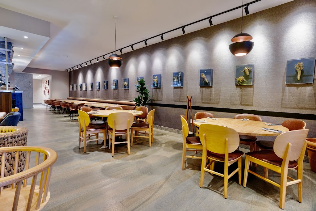 MAIZ 64 | restaurant | 1324 14th St NW, Washington, DC 20005, USA | 2024504962 OR +1 202-450-4962