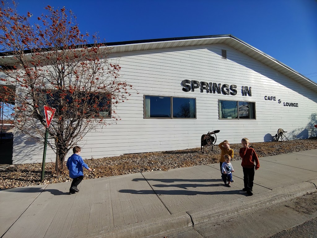 Springs Inn Cafe | restaurant | 201 Main St E, Wessington Springs, SD 57382, USA | 6055399909 OR +1 605-539-9909