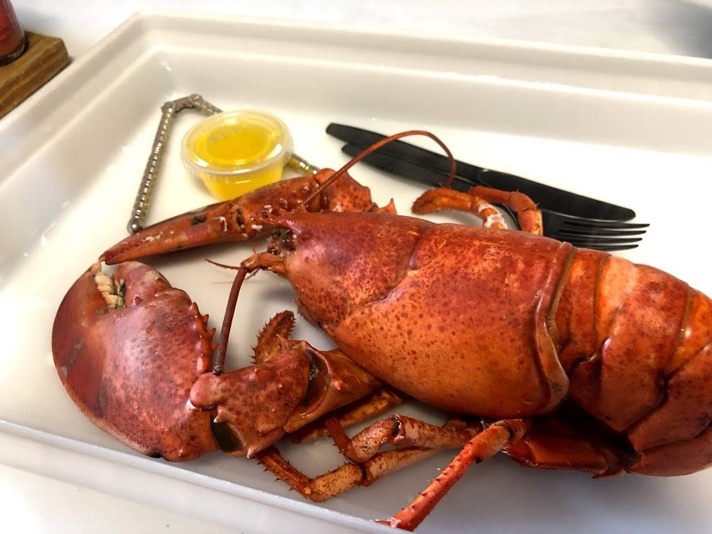 Alive Kicking Lobsters Restaurant 269 Putnam Ave Cambridge Ma Usa