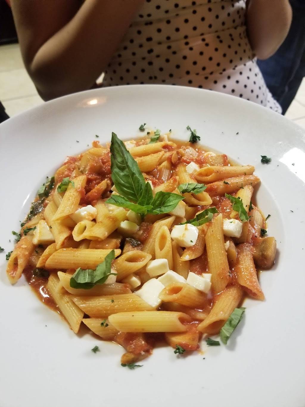 Michelangelo of North Port | restaurant | 1091 South Toledo Blade Blvd, North Port, FL 34288, USA | 9414260044 OR +1 941-426-0044