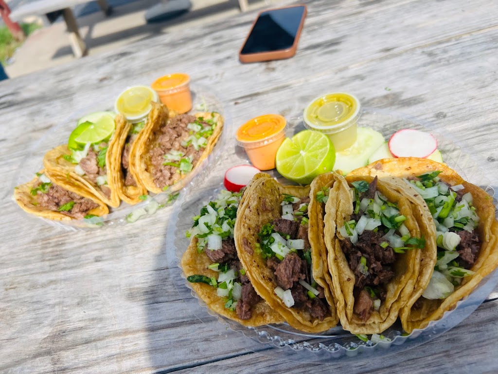 Carnales Taqueria Temperance 7400 Lewis Ave unit e, Temperance, MI 48182, USA