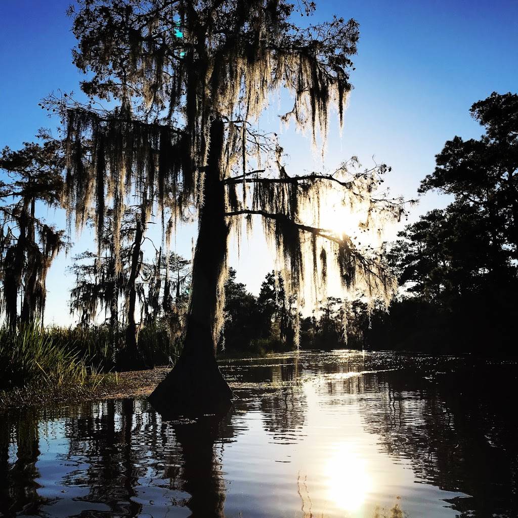 Bayou Adventure | cafe | 28178 U.S. Hwy 190, Lacombe, LA 70445, USA | 9858829208 OR +1 985-882-9208