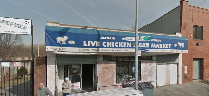 Astoria Live Chicken & Meat Market | restaurant | 3137 20th Ave, Astoria, NY 11105, USA | 7187777249 OR +1 718-777-7249