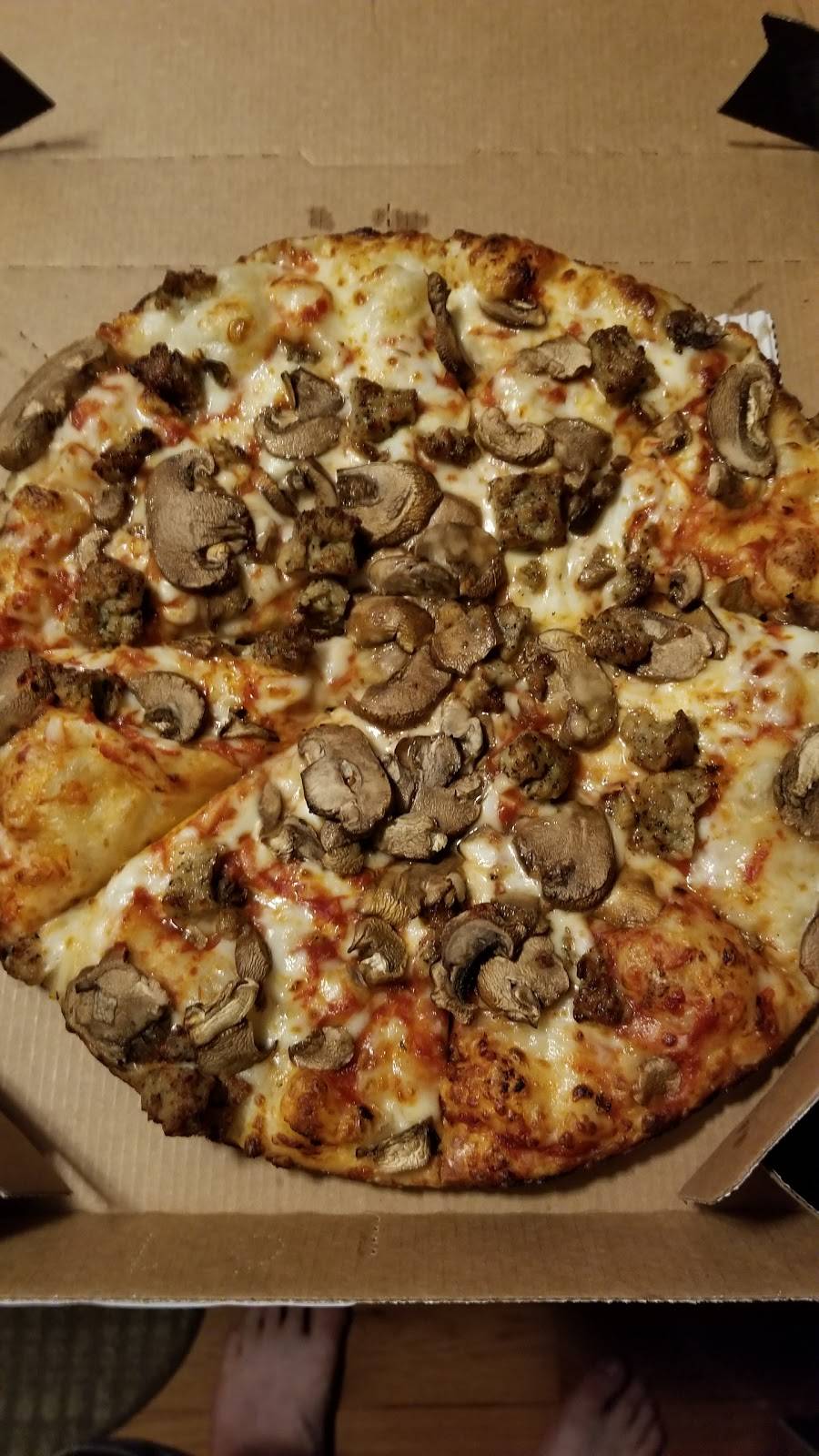 Dominos Pizza | meal delivery | 4910 Washtenaw Ave, Ann Arbor, MI 48108, USA | 7345281111 OR +1 734-528-1111