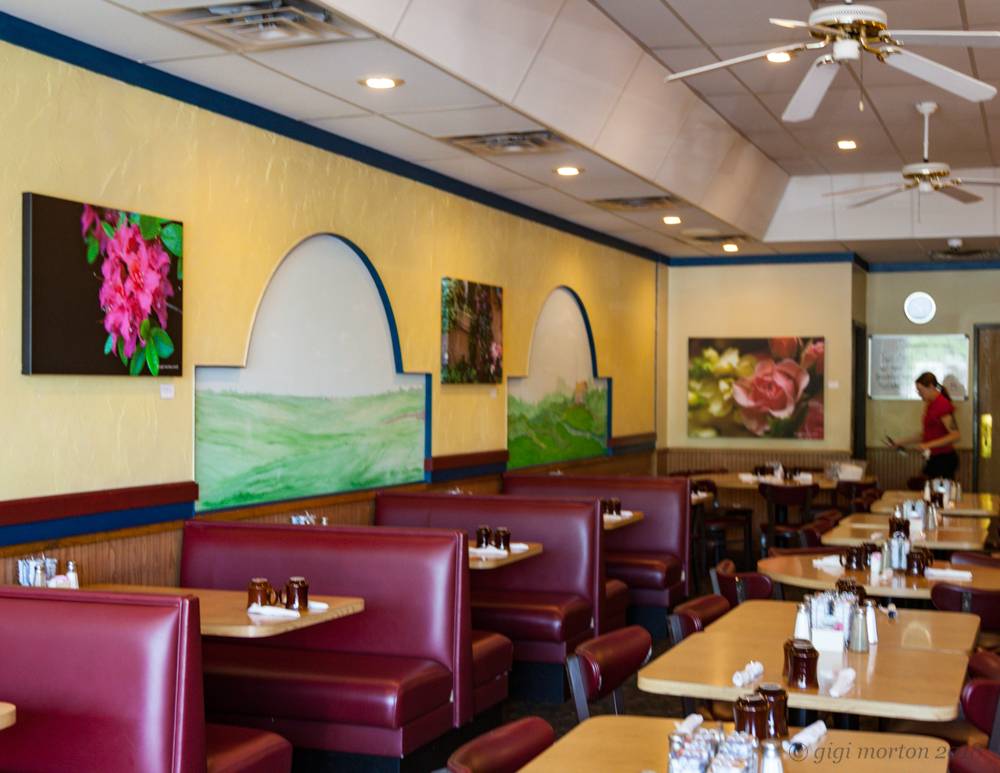 Fernandos Café | restaurant | 1587 Haslett Rd, Haslett, MI 48840, USA | 5173391886 OR +1 517-339-1886