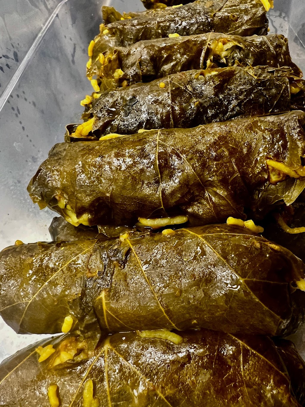 Farnaz Mediterranean Grill | restaurant | 37649 Five Mile Rd, Livonia, MI 48154, USA | 7347444435 OR +1 734-744-4435