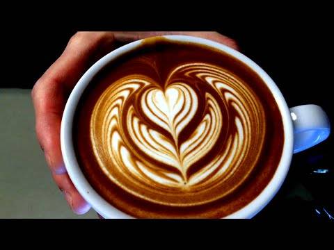 Coffee Nature | cafe | 4224 Fessenden St NW, Washington, DC 20016, USA | 2022378989 OR +1 202-237-8989