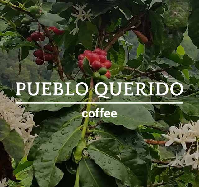 Pueblo Querido Coffee Roasters Cafe de Colombia | cafe | 195 Greenpoint Ave, Brooklyn, NY 11222, USA | 9293462986 OR +1 929-346-2986