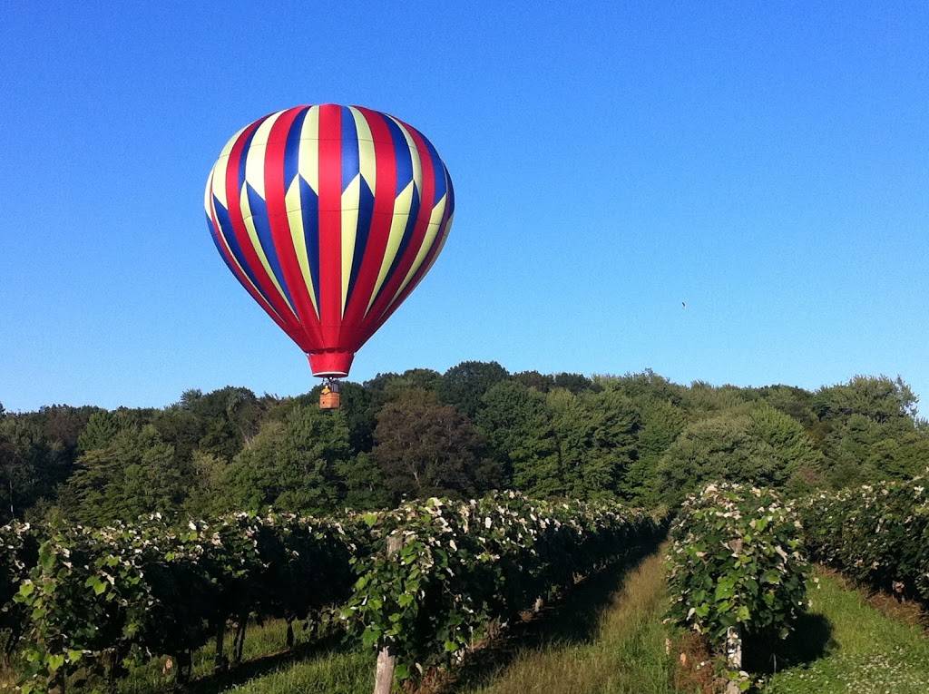 Debonné Vineyards | restaurant | 7840 Doty Rd, Madison, OH 44057, USA | 4404663485 OR +1 440-466-3485