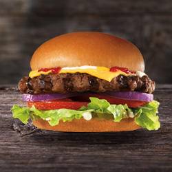 Hardees | restaurant | 230 E 2nd St, Chase City, VA 23924, USA | 4343722009 OR +1 434-372-2009