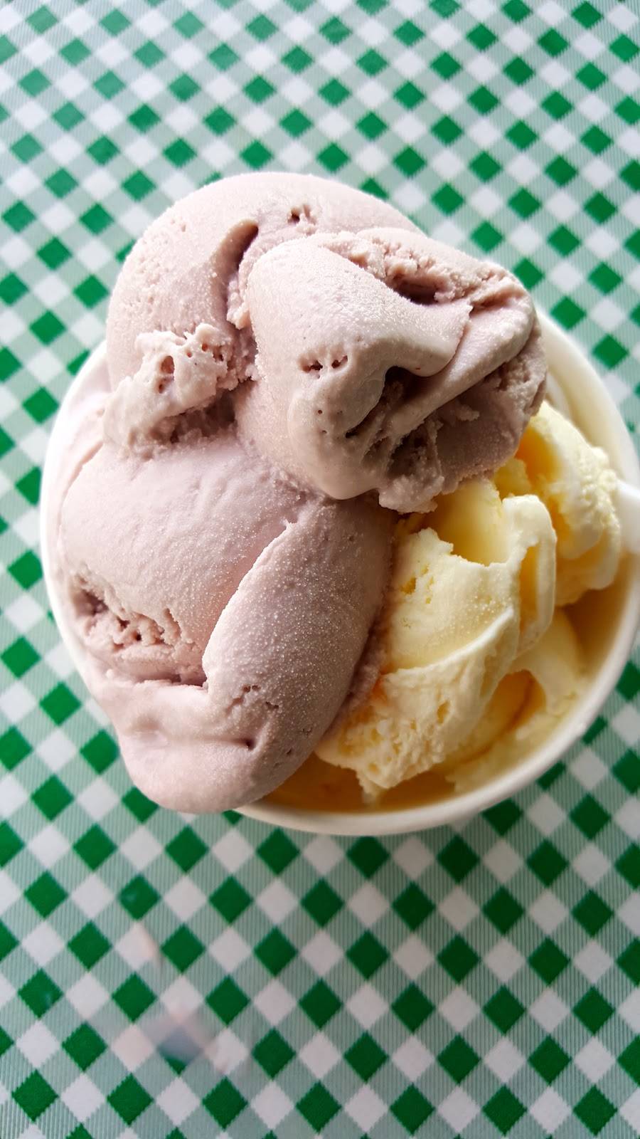 Zoes Ice Cream Barn | restaurant | 1181 State Rte 55, Lagrangeville, NY 12540, USA | 8454547108 OR +1 845-454-7108