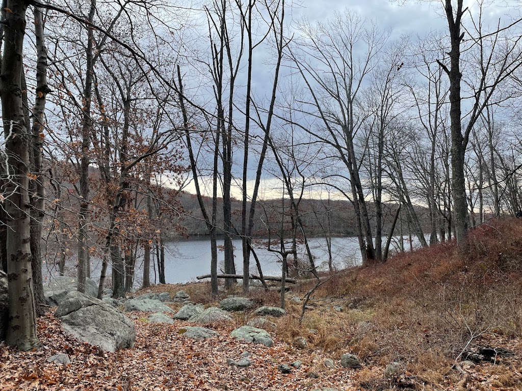 Valley Rock Lodge | restaurant | 66 Orange Turnpike, Sloatsburg, NY 10974, USA | 8456189112 OR +1 845-618-9112