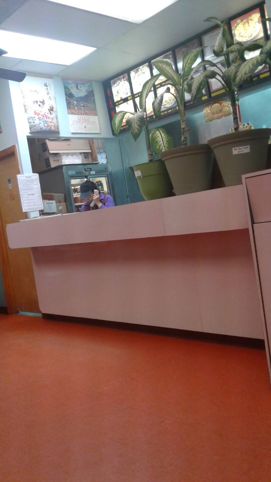 New Chinese Food Takeout | meal takeaway | 1405 Tatum Dr, New Bern, NC 28560, USA | 2526369993 OR +1 252-636-9993
