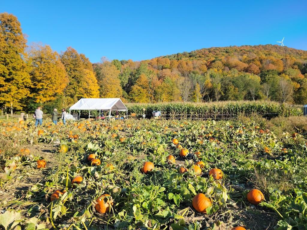 Ioka Valley Farm 3475 Hancock Rd, Williamstown, MA 01267, USA