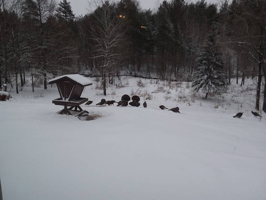Thunder Mountain Valley Inn | night club | W12960 Tracy Ln, Crivitz, WI 54114, USA | 7157573150 OR +1 715-757-3150