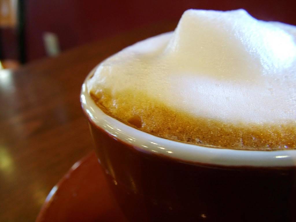 The Bean of Ave Maria | cafe | 5068 Annunciation Cir, Ave Maria, FL 34142, USA | 2398674234 OR +1 239-867-4234