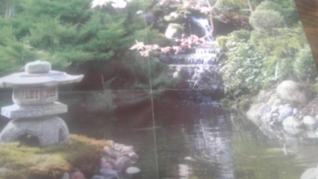 Jin Jin Chinese Restaurant | restaurant | 9115 Samlen Ln, Charlotte, NC 28214, USA | 7043948821 OR +1 704-394-8821