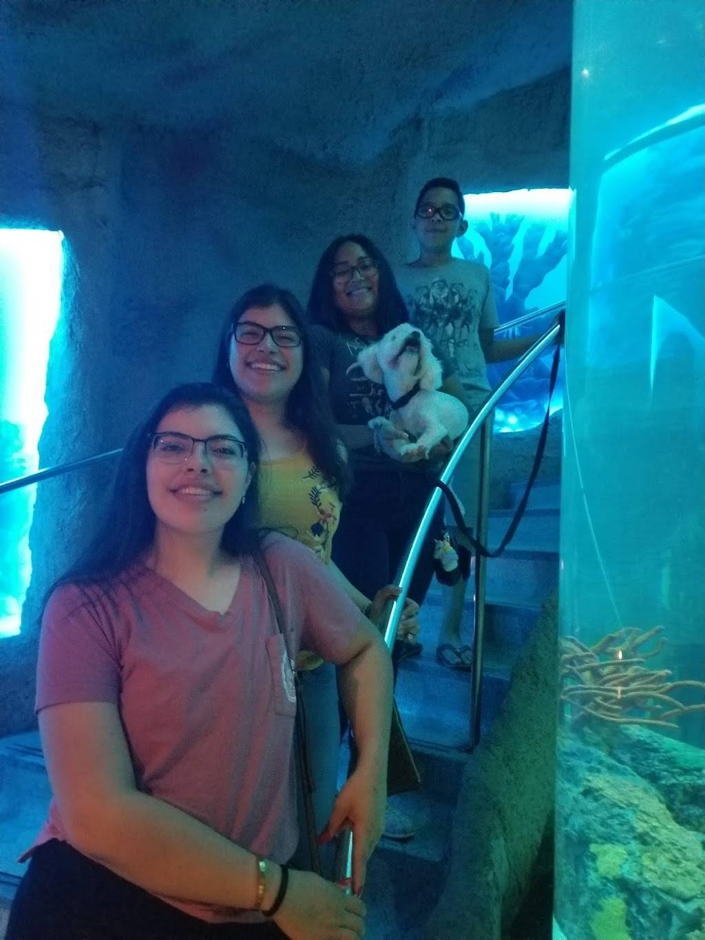 Aquarium Restaurant | TX-146, Kemah, TX 77565, USA