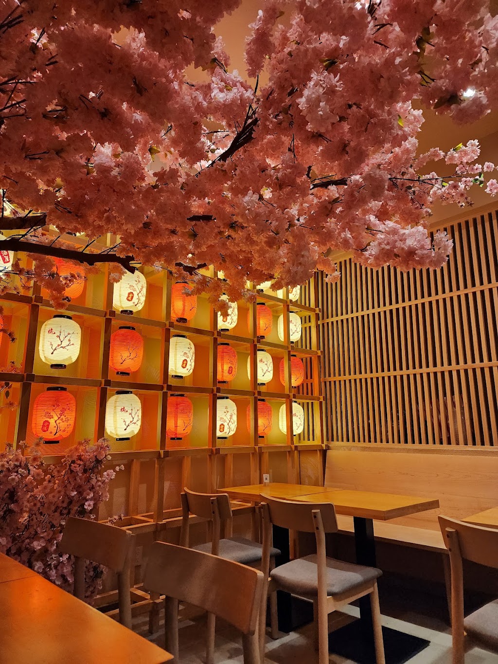 Sushi Blossoms | restaurant | 334 8th Ave, New York, NY 10001, USA | 6464787728 OR +1 646-478-7728