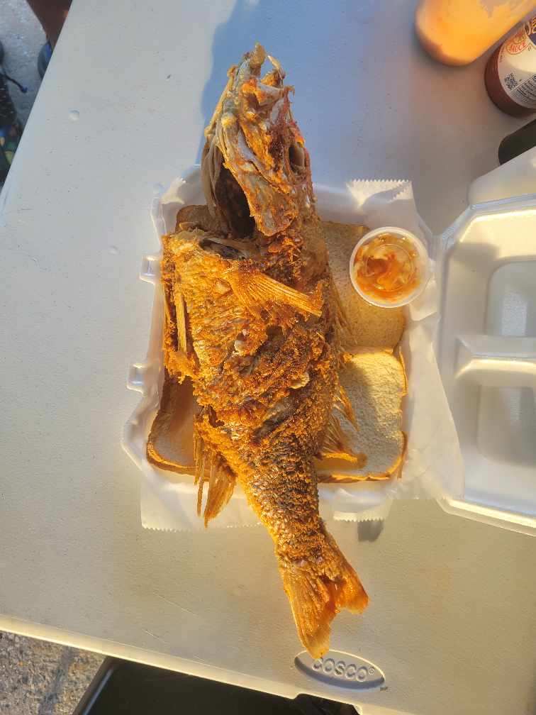 Tastez BBQ | meal takeaway | 828 NW 15th Ave, Ocala, FL 34475, USA | 7865398233 OR +1 786-539-8233