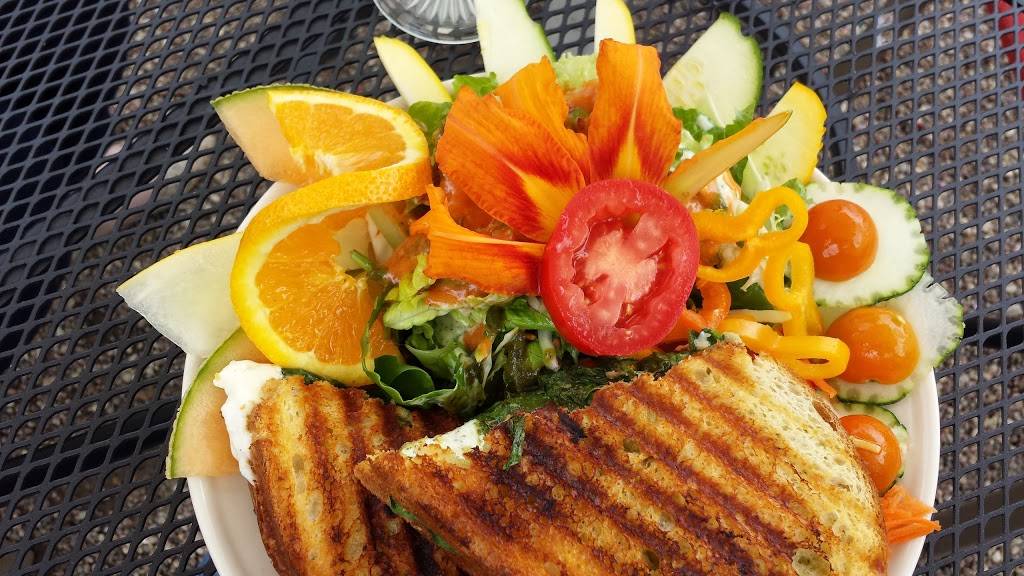 The Freckled Frogg Cafe | restaurant | N2729 County Rd QQ, Waupaca, WI 54981, USA | 7159422644 OR +1 715-942-2644