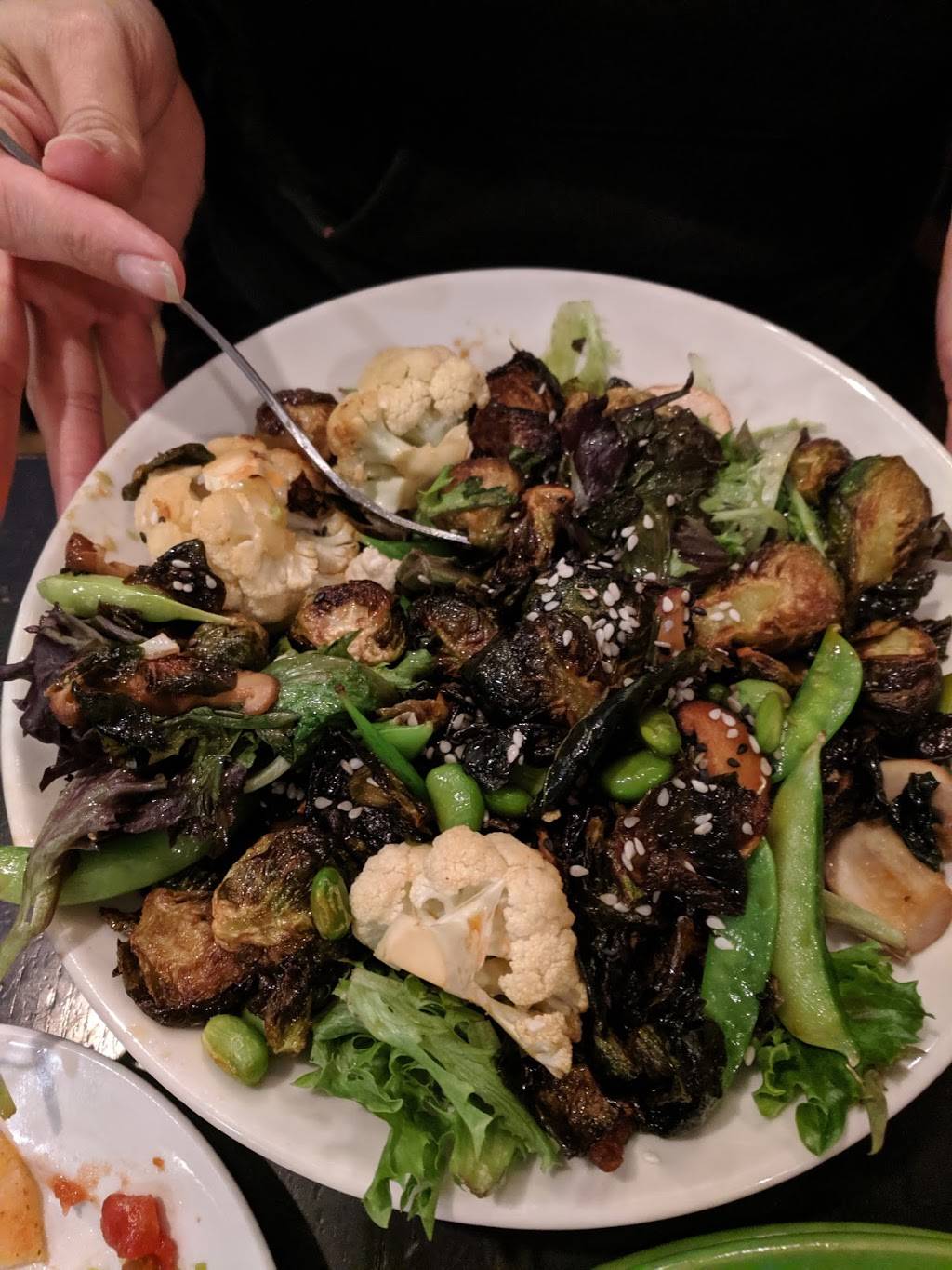 Sea Dog Brewing Co. | restaurant | 1 Main St, Camden, ME 04843, USA | 2072301306 OR +1 207-230-1306