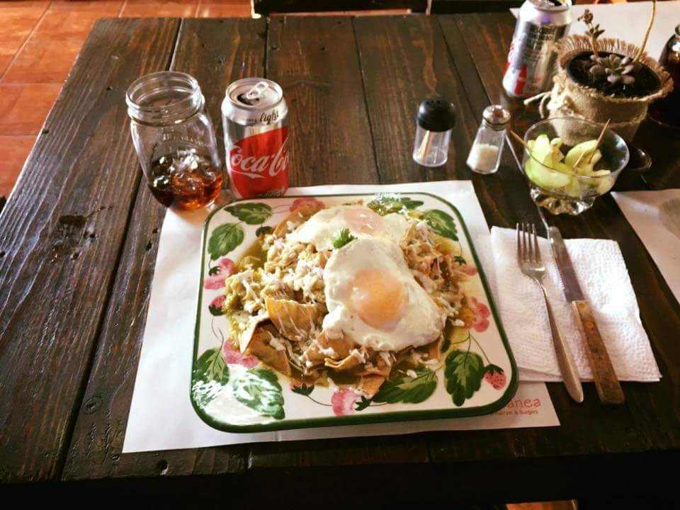 Altanea Breakfast & Burgers | restaurant | Calle Primera 140, El Sauzal, 22760 El Sauzal, B.C., Mexico | 016461758180 OR +52 646 175 8180