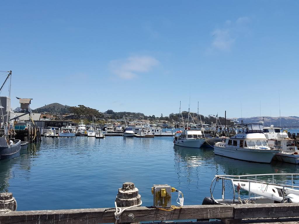 Tognazzinis Dockside Restaurant | restaurant | 1245 Embarcadero, Morro Bay, CA 93442, USA | 8057728100 OR +1 805-772-8100
