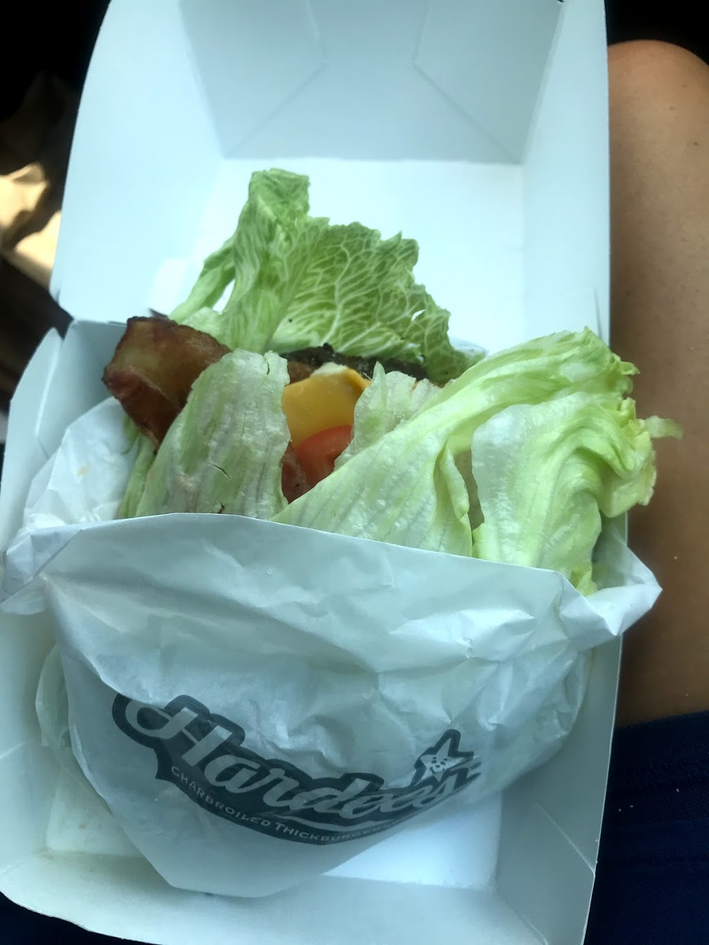 Hardee’s | restaurant | 24 Pafford, Lamont, FL 32336, USA | 8509972228 OR +1 850-997-2228