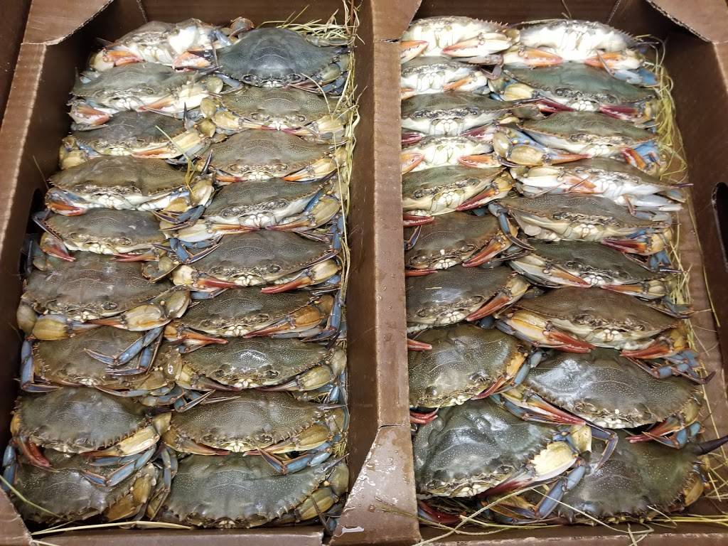 Mother Ocean Seafood Market 640 Merrimon Ave, Asheville, NC 28804, USA