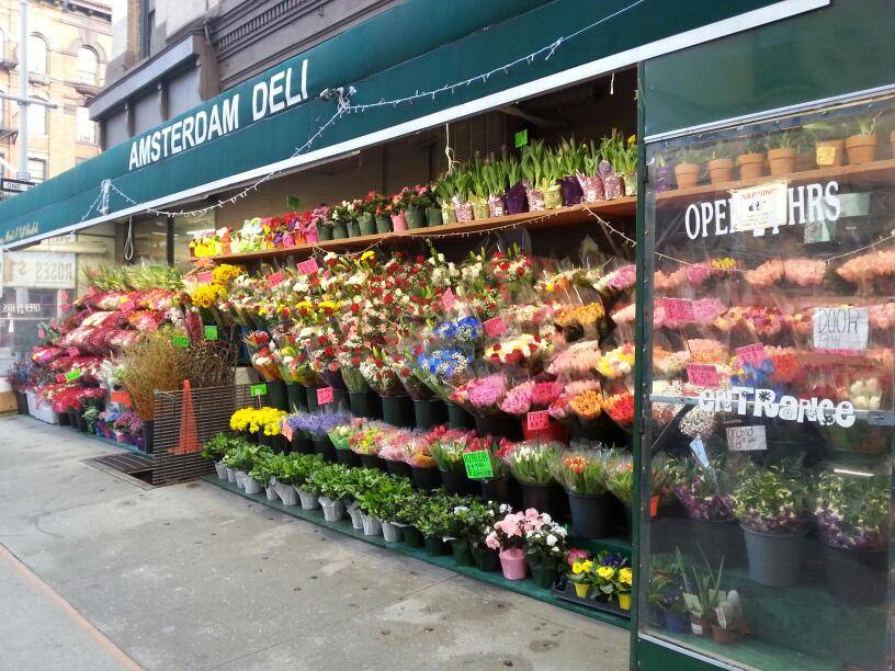 Amsterdam Deli | meal takeaway | 481 Amsterdam Ave, New York, NY 10024, USA | 2127698935 OR +1 212-769-8935