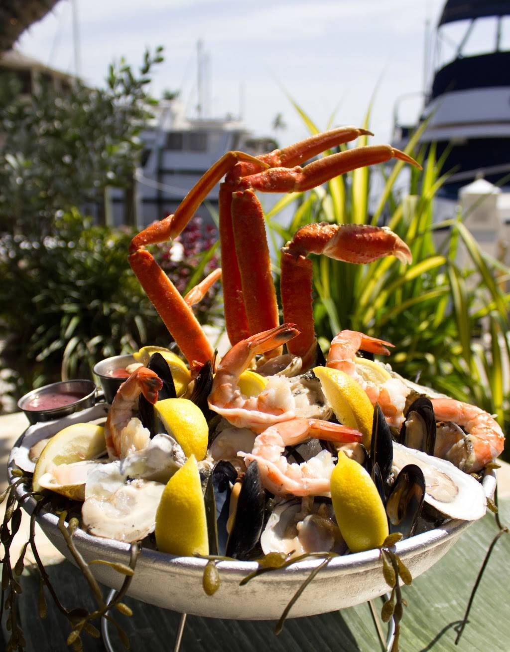 The Dock At Crayton Cove | restaurant | 845 12th Ave S, Naples, FL 34102, USA | 2392639940 OR +1 239-263-9940