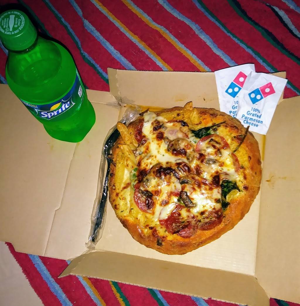 Domino's Pizza 4800 Bayline Dr, North Fort Myers, FL 33917, USA