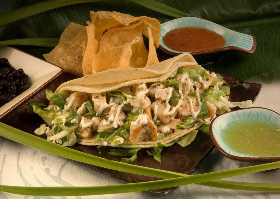 Maui Tacos - Kailua | restaurant | 539 Kailua Rd #102, Kailua, HI 96734, USA | 8082614155 OR +1 808-261-4155