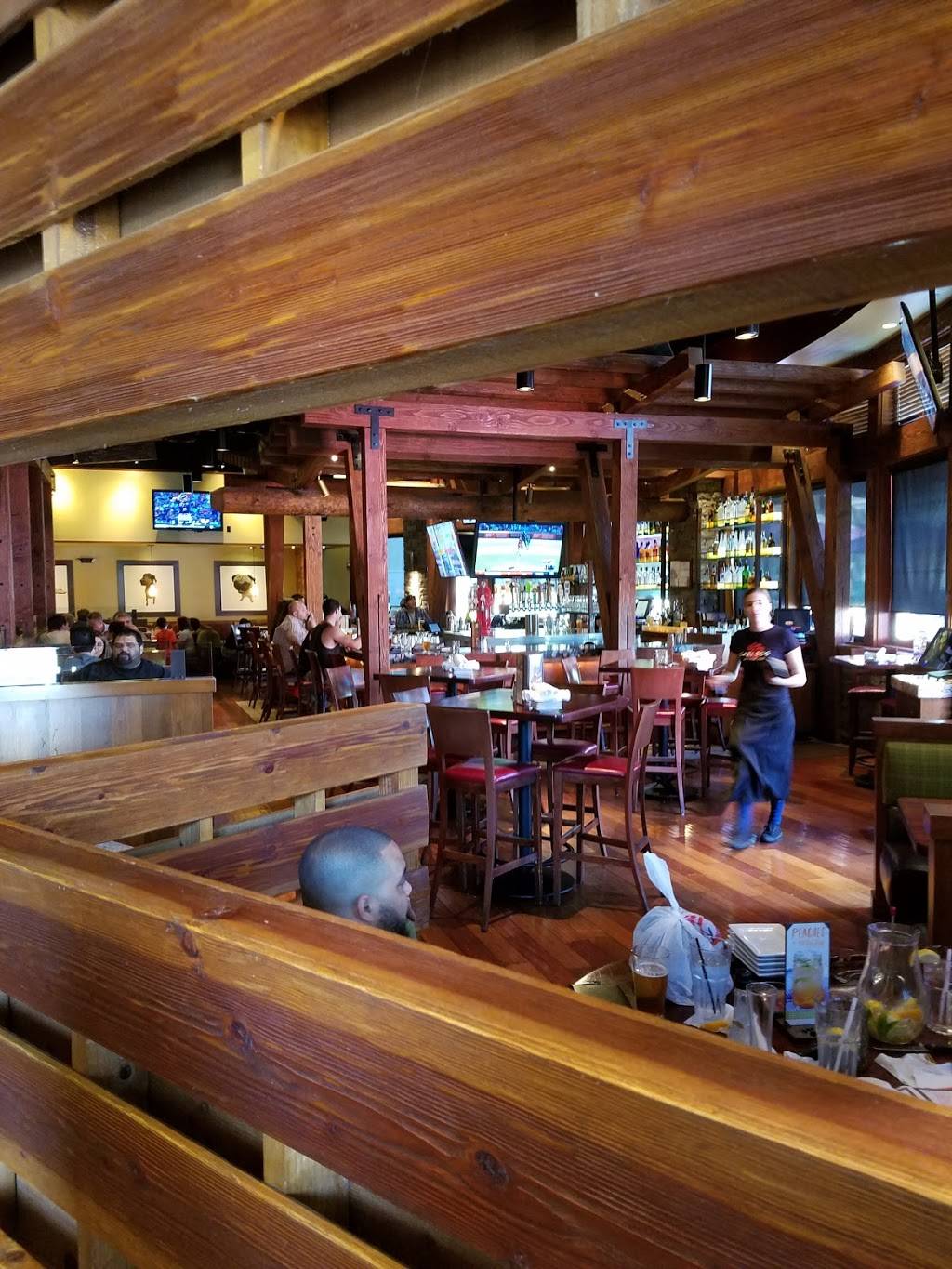 Lazy Dog Saloon Colorado Springs Manuela Ritchey