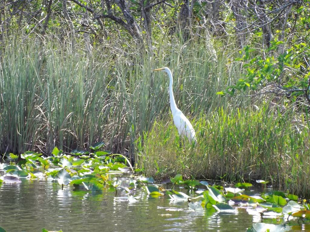 coopertown everglades airboat tour & restaurant